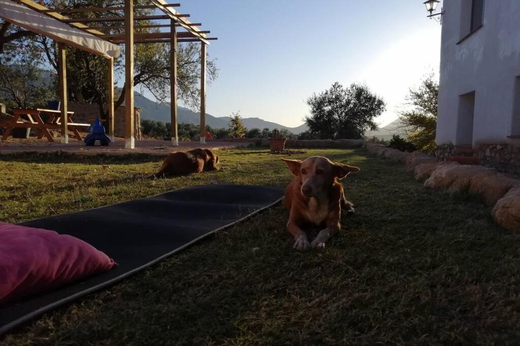 Cortijo Rural Gumeo Villa Málaga Eksteriør billede